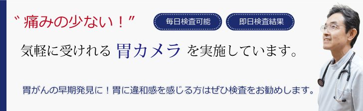 痛くない!気軽に受けれる胃カメラを実施しています。-胃がんの早期発見に!胃に違和感を感じる方はぜひ検査をお勧めします-毎日検査可能・経鼻内視鏡・即日検査結果